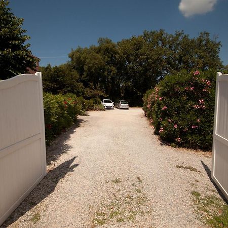 Chambres d'Hôtes Le Mas du Bijou Bleu Puget-sur Argens Extérieur photo