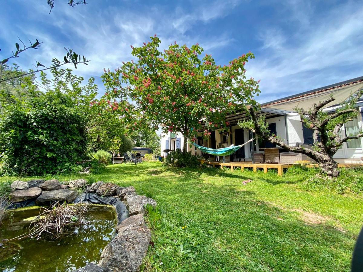 Chambres d'Hôtes Le Mas du Bijou Bleu Puget-sur Argens Extérieur photo