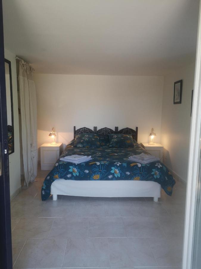 Chambres d'Hôtes Le Mas du Bijou Bleu Puget-sur Argens Extérieur photo