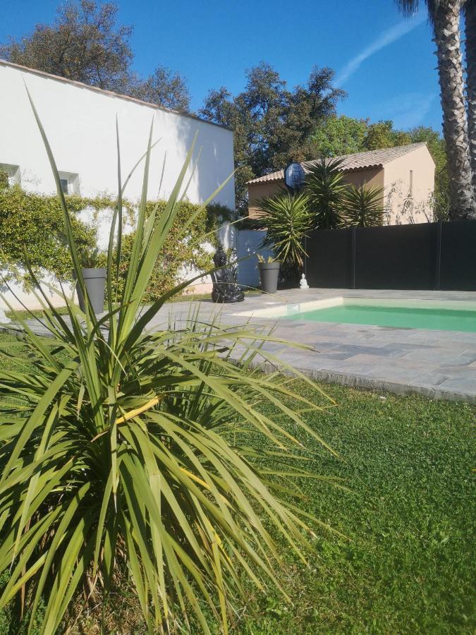 Chambres d'Hôtes Le Mas du Bijou Bleu Puget-sur Argens Extérieur photo