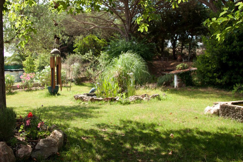Chambres d'Hôtes Le Mas du Bijou Bleu Puget-sur Argens Extérieur photo