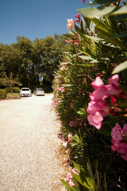 Chambres d'Hôtes Le Mas du Bijou Bleu Puget-sur Argens Extérieur photo