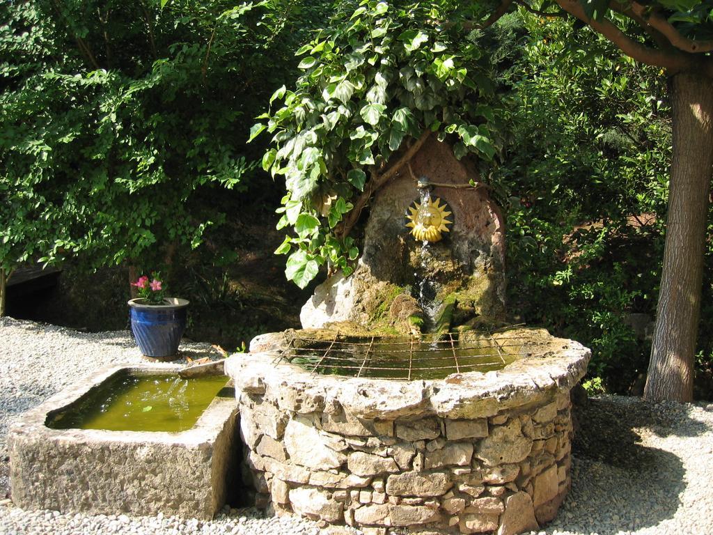 Chambres d'Hôtes Le Mas du Bijou Bleu Puget-sur Argens Extérieur photo